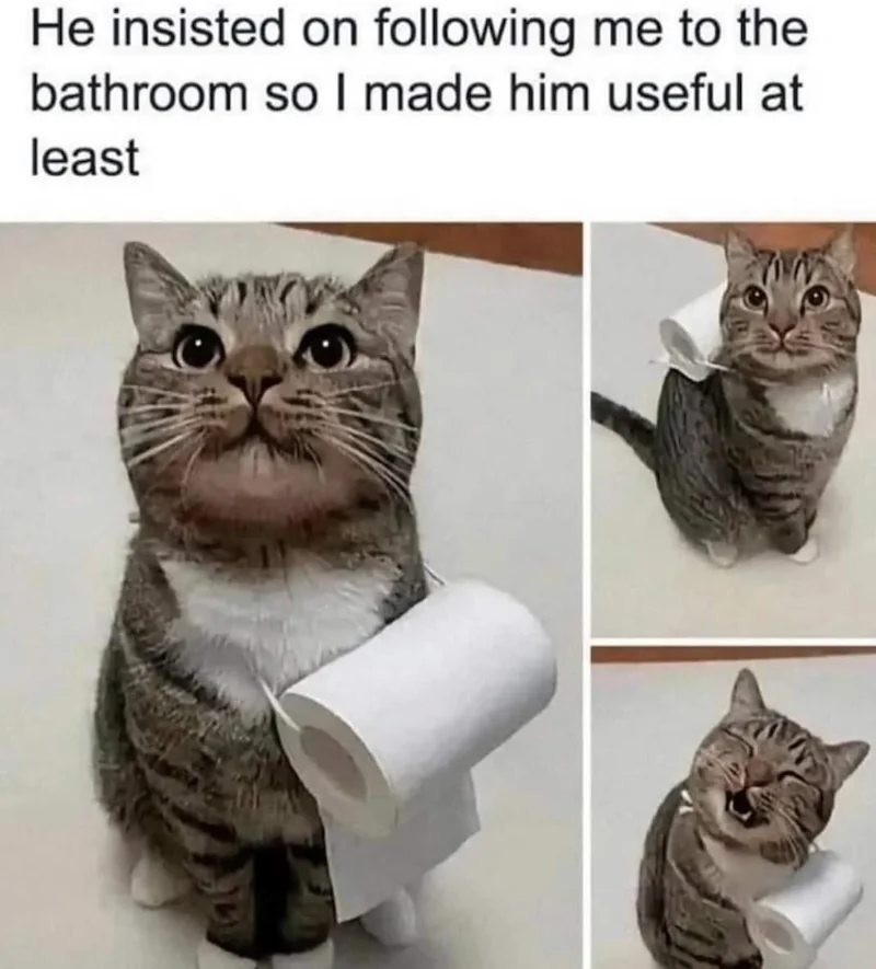 EVERY TIME I USE THE TOILET 🫠
