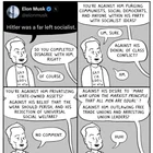 Musk is a far left socialist [OC]